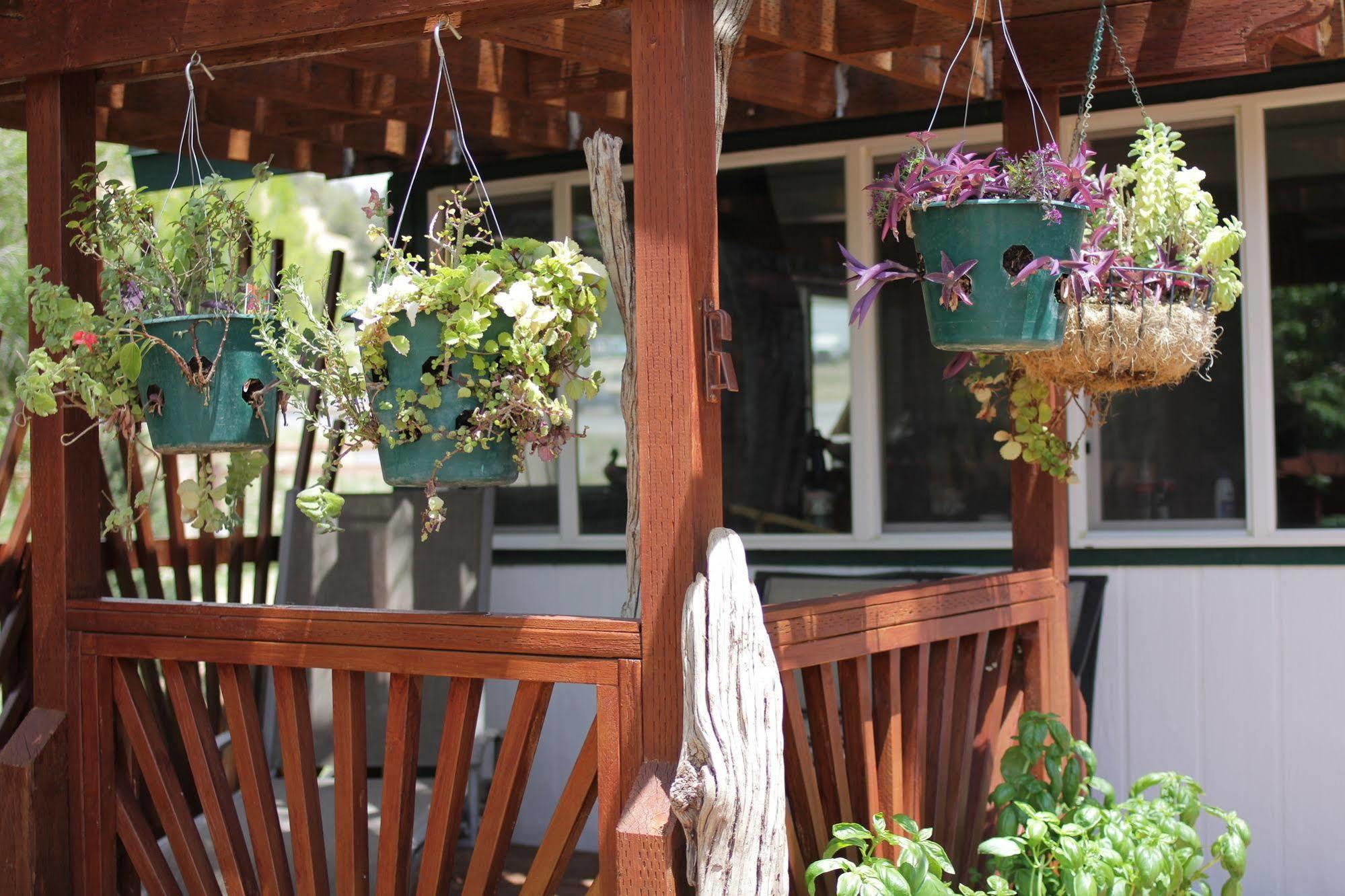 Historic Smith Hotel B&B เกลนเดล ภายนอก รูปภาพ
